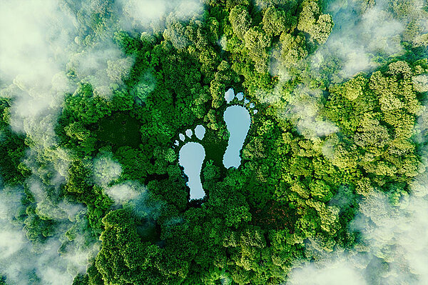 Fußabdruecke im Regenwald als Symbol für Umweltfußabdruck